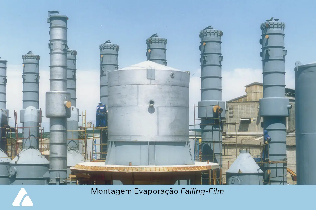 zimatec-fotos-celulose-papel-1-ok