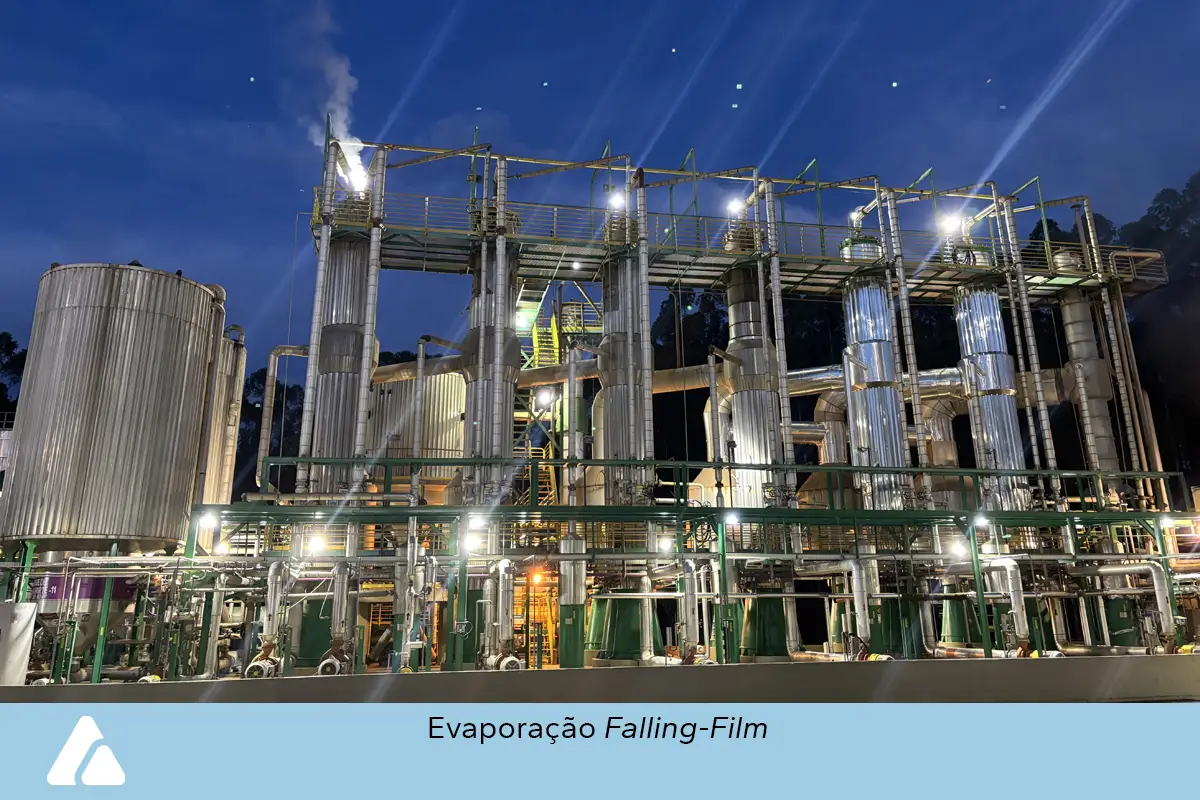 zimatec-fotos-celulose-papel-2-ok