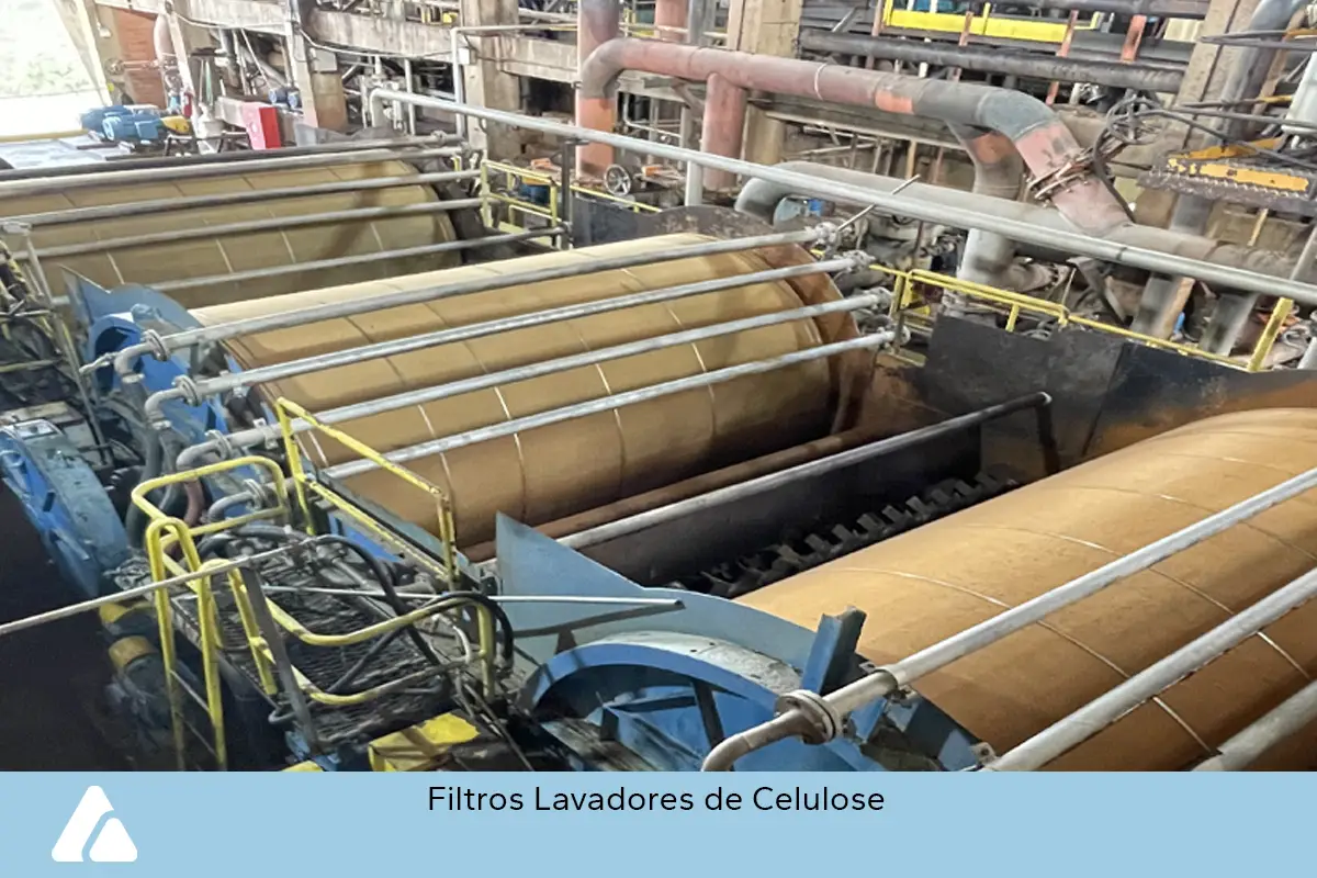 zimatec-fotos-celulose-papel-3-ok