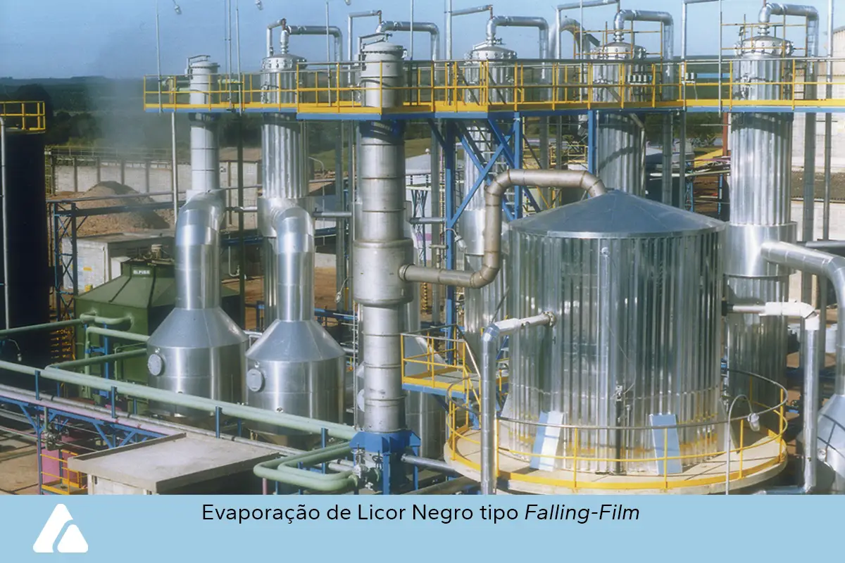 zimatec-fotos-celulose-papel-4-ok