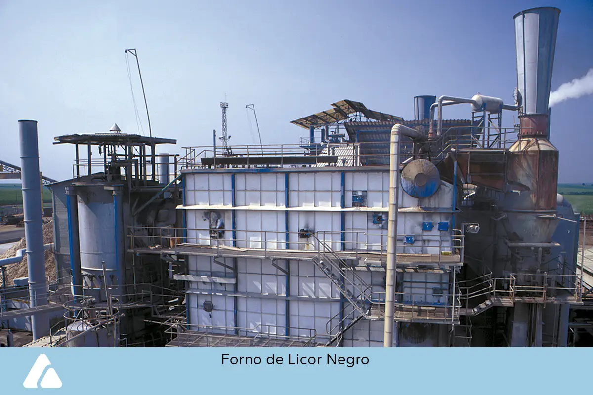 zimatec-fotos-celulose-papel-5-ok