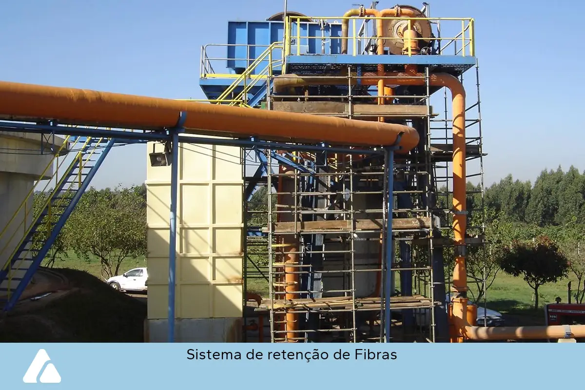 zimatec-fotos-celulose-papel-6-ok