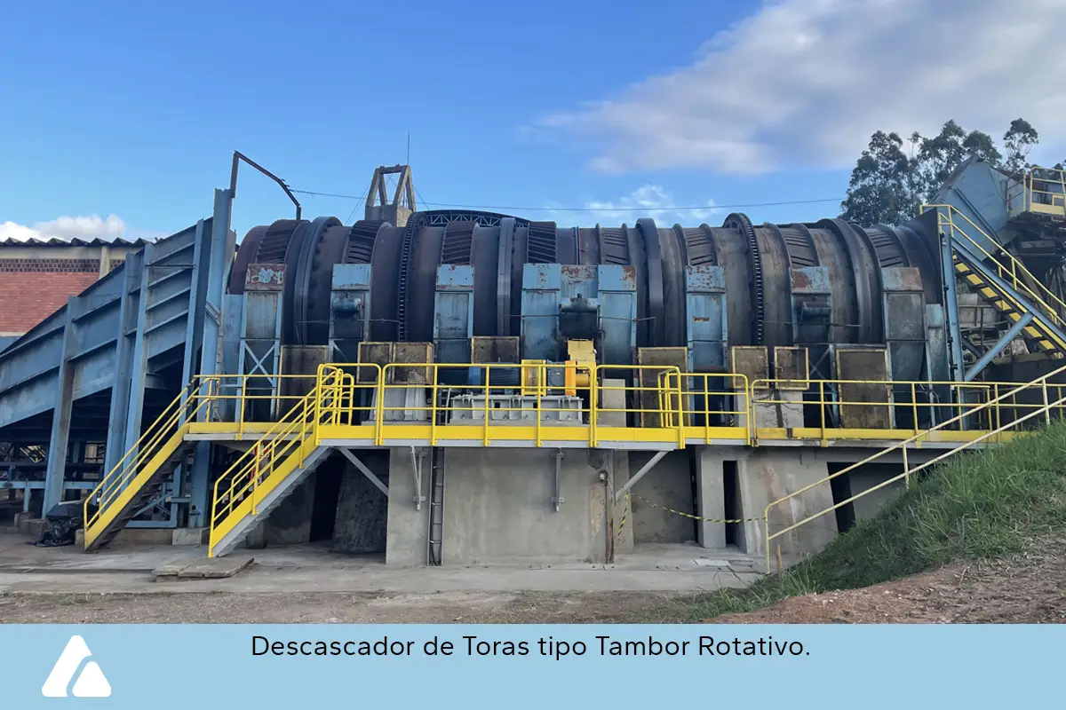 zimatec-fotos-celulose-papel-8-ok